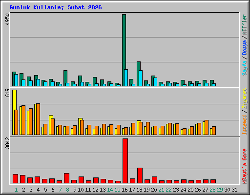 Gunluk Kullanim: Subat 2026