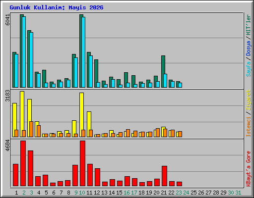 Gunluk Kullanim: Mayis 2026