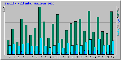 Saatlik Kullanim: Haziran 2025