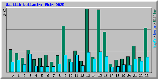 Saatlik Kullanim: Ekim 2025