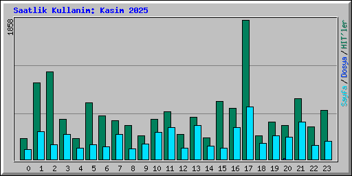 Saatlik Kullanim: Kasim 2025