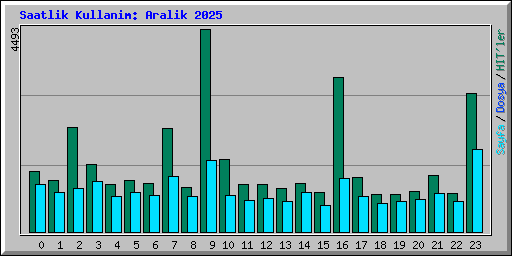 Saatlik Kullanim: Aralik 2025