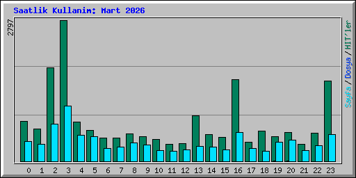Saatlik Kullanim: Mart 2026