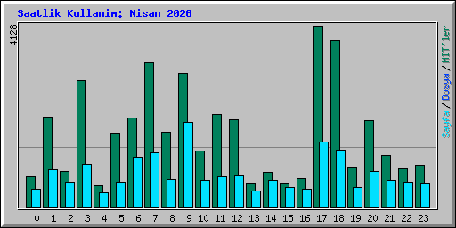 Saatlik Kullanim: Nisan 2026