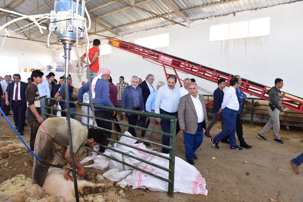 KİT Komisyonu TİGEM Ceylanpınar’da İncelemelerde Bulundu