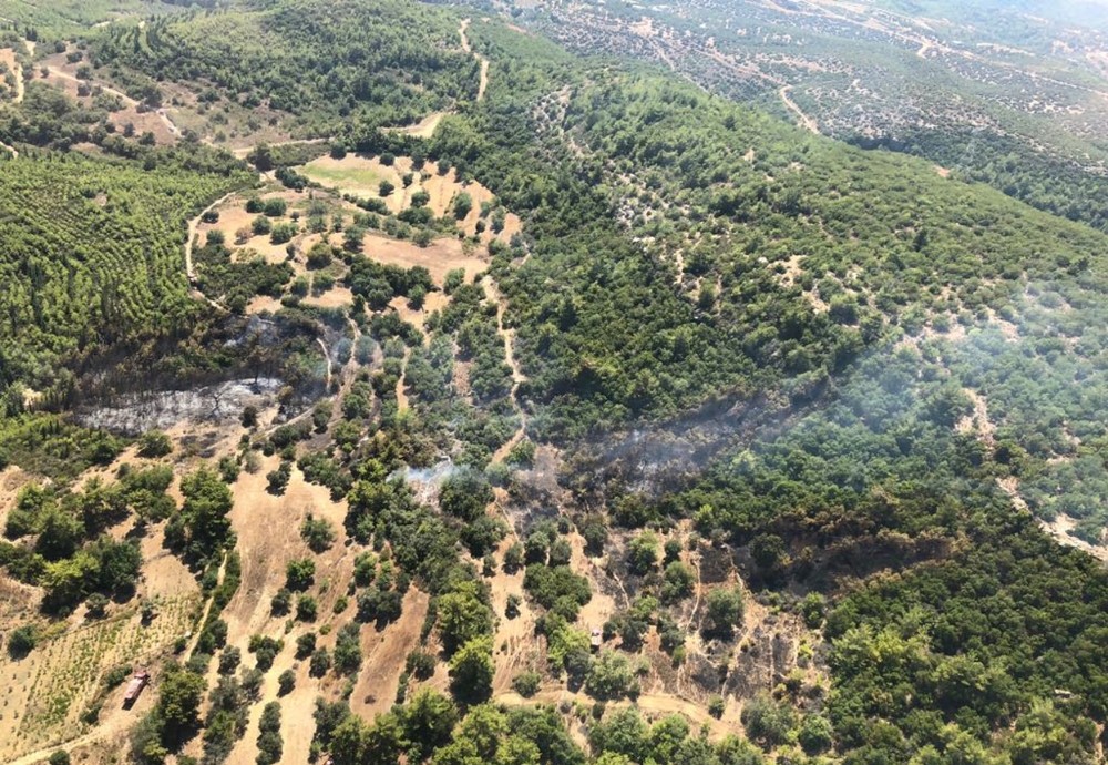 Manavgat’ta orman yangını