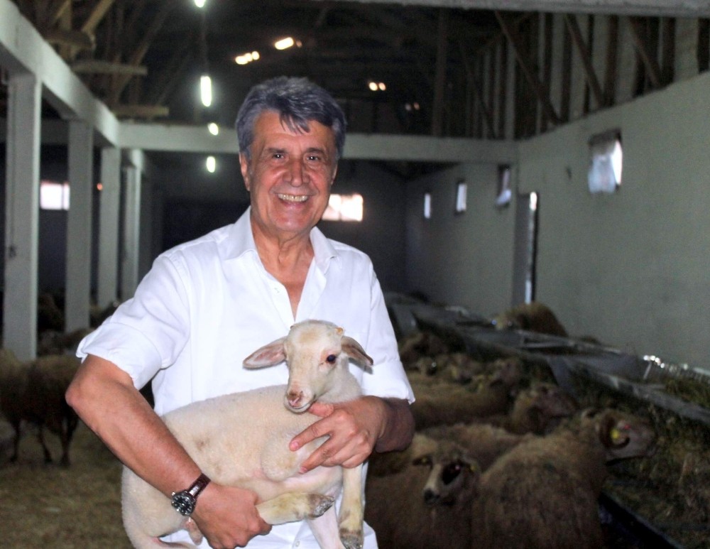 BTSO Eski Meclis başkanı hayvancılık sektörüne girdi