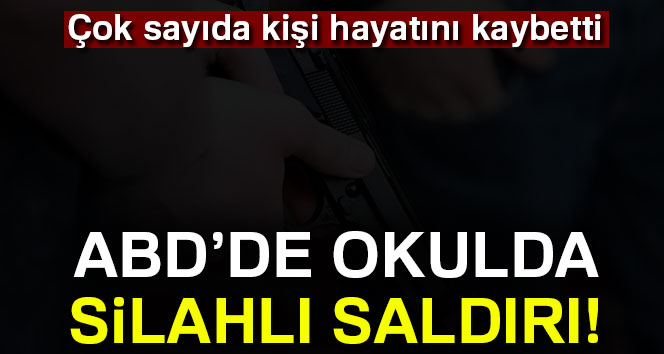 ABD'de liseye silahlı saldırı: 17 ölü