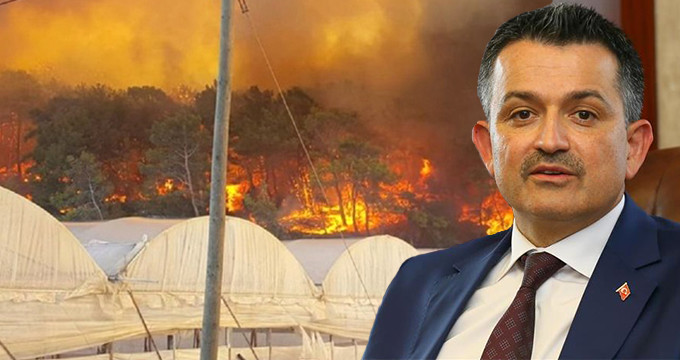 Antalya'daki Yangınla İlgili Bakandan Açıklama