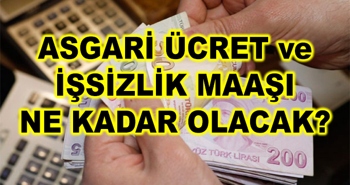 Asgari Ücret ve İşsizlik Maaşı 2019'da Ne Kadar Olacak