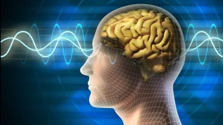 Bilim adamları gen ve beyin yapısı ile zeka arasında bağlantıyı keşfetti