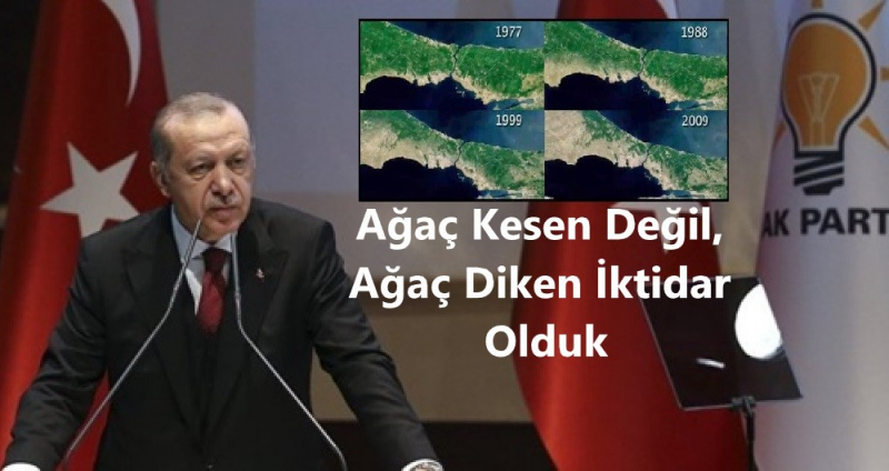 Erdoğan: ''Ağaç Kesen Değil Ağaç Diken İktidar Olduk''