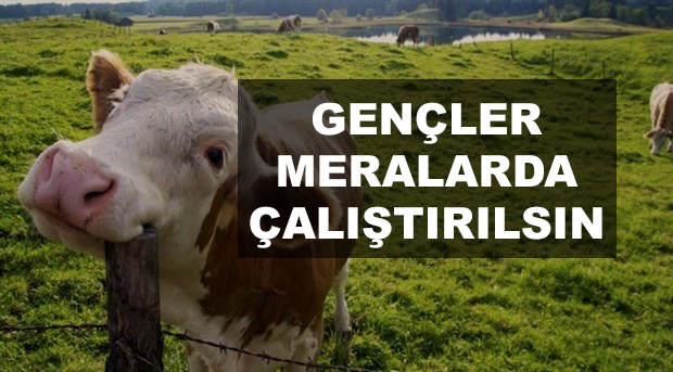 Ucuz Et Önerisi: Gençler Meralarda Çalıştırılsın