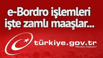 2018 Ağustos Ayı Memur Maaş Bordrosu Sorgulama