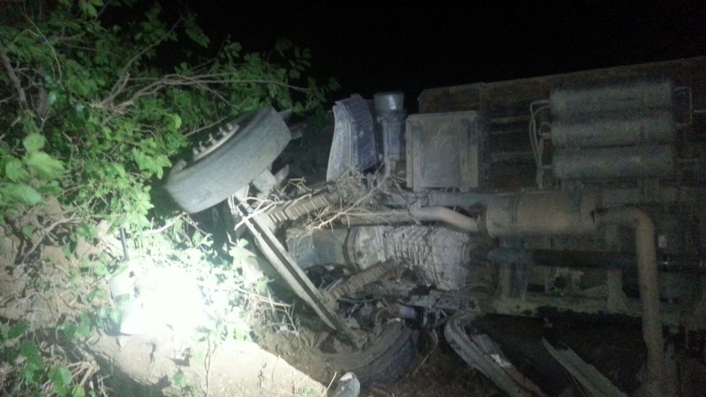 Elazığ’da trafik kazası: 5 yaralı, 50 hayvan telef  oldu