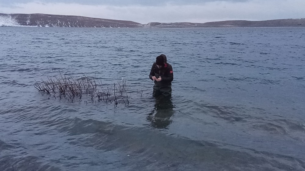 (Özel) Aygır Gölü’nde zebra midye tehlikesi