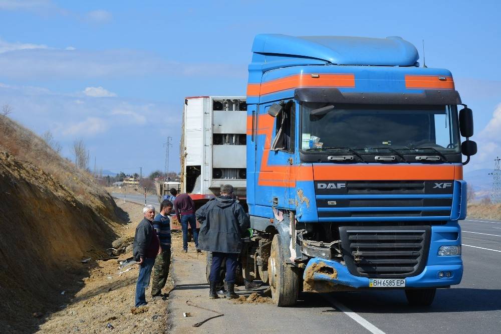 Devrilen tırda 33 küçükbaş hayvan telef oldu