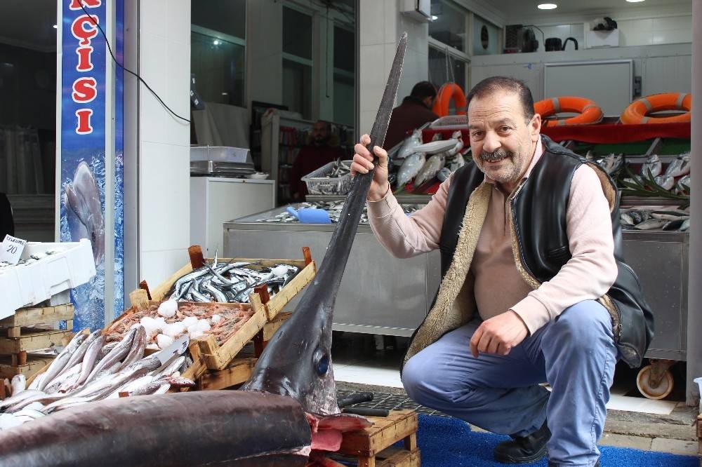 İki buçuk metrelik kılıç balığı ilgi görüyor