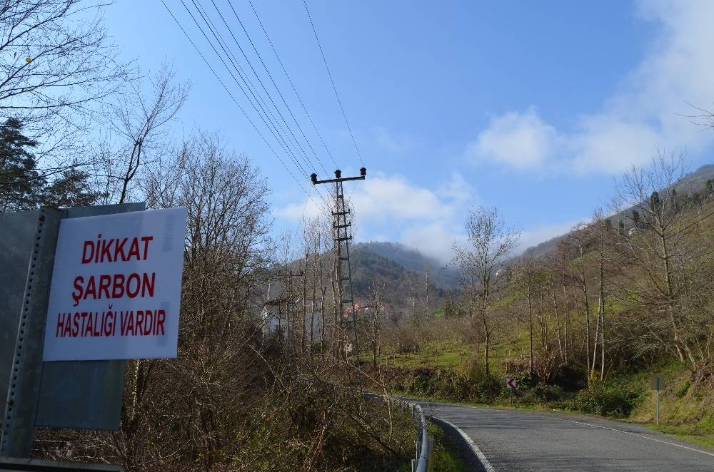Trabzon’da şarbon tehlikesi nedeniyle bir mahalle daha karantinaya alındı