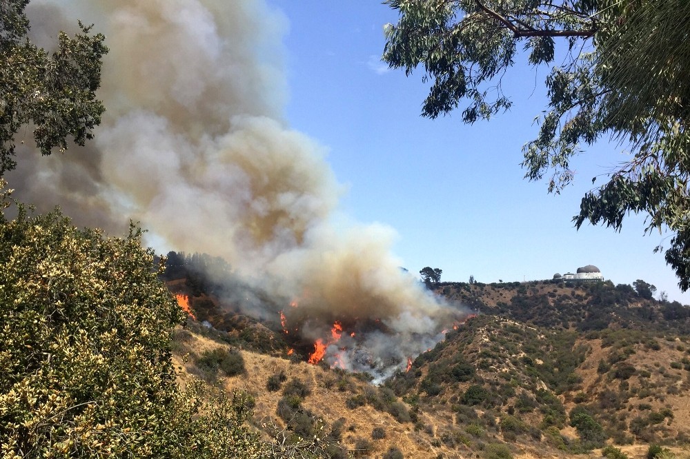 Griffith Park’ta yangın çıktı