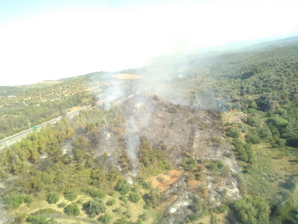 Aydın’da arazi yangını ormana sıçramadan kontrol altına alındı
