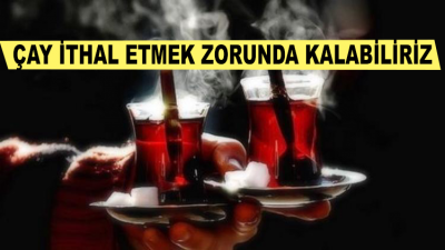 Çay İthal Etmek Zorunda Kalabiliriz