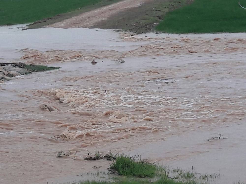 Kızıltepe’de tarlalar su altında kaldı