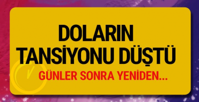 Doların Tansiyonu Düştü