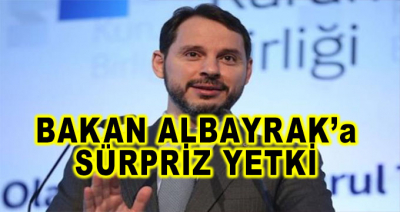 Hazine ve Maliye Bakanı Berat Albayrak'a Sürpriz Yetki