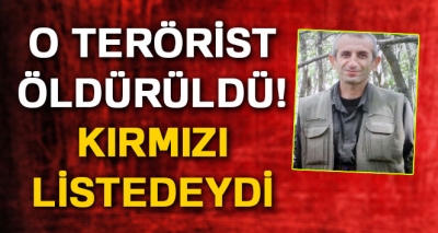 Kırmızı Listede Yer Alan Terörist Öldürüldü