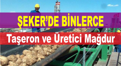 ŞEKER'de Binlerce Taşeron ve Üretici Mağdur Durumda