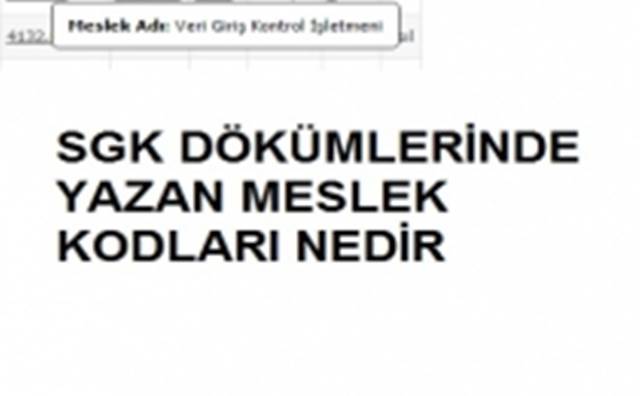 SGK dökümlerinde yazan meslek kodları nedir_?