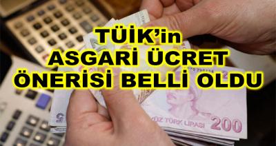 TÜİK Asgari Ücret İçin 3 Farklı Öneride Bulundu